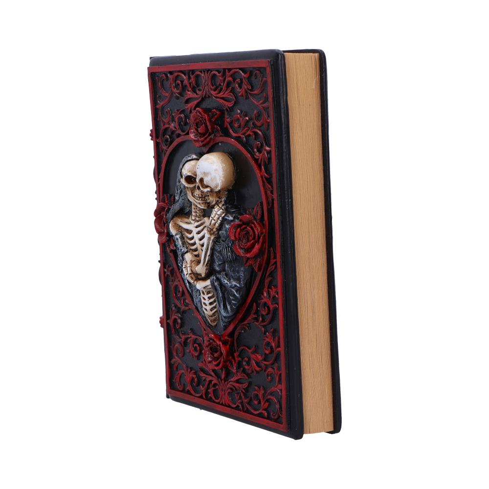 Lovers Grimoire Journal 19cm — view 2 — Nemesis Now D7210C25