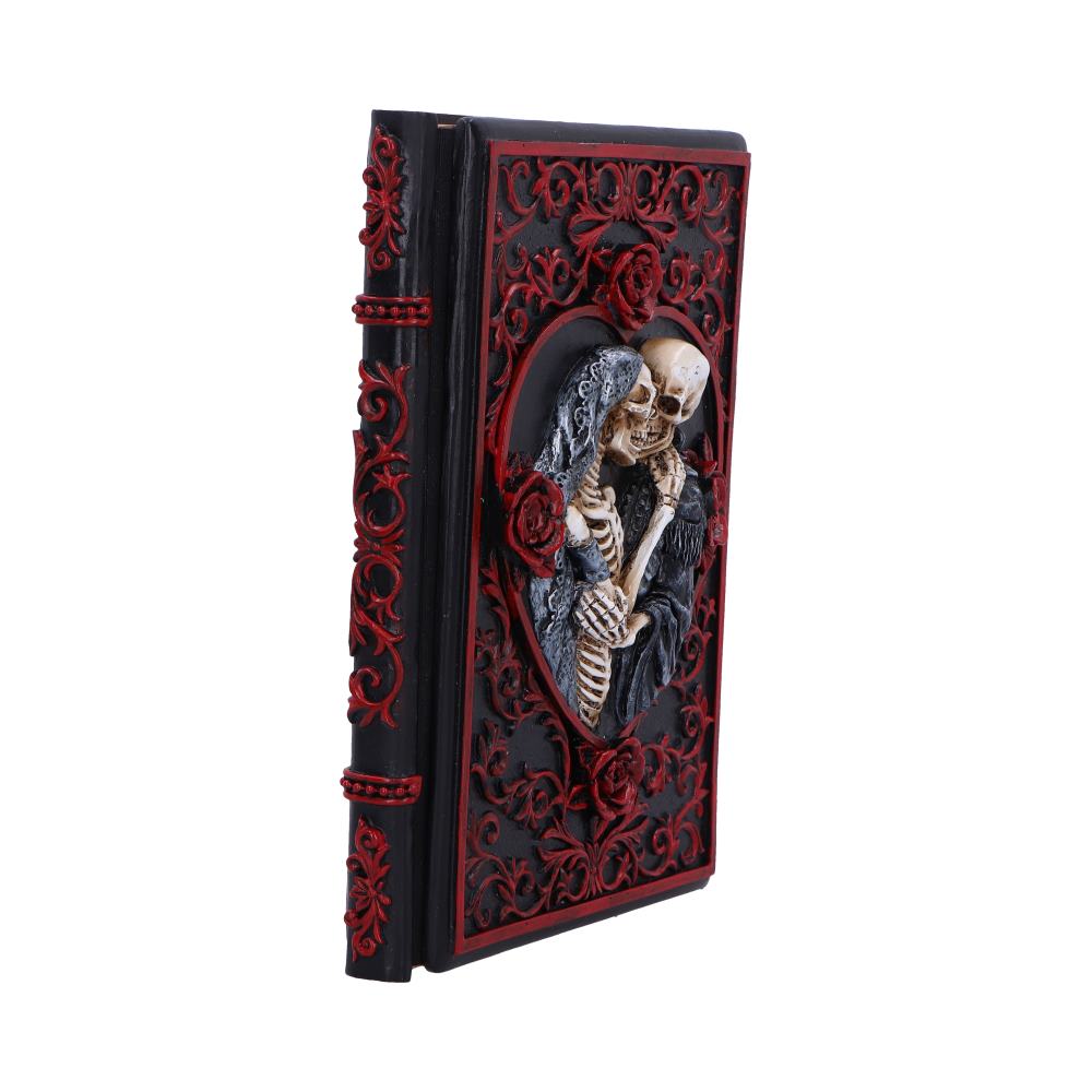 Lovers Grimoire Journal 19cm — view 4 — Nemesis Now D7210C25