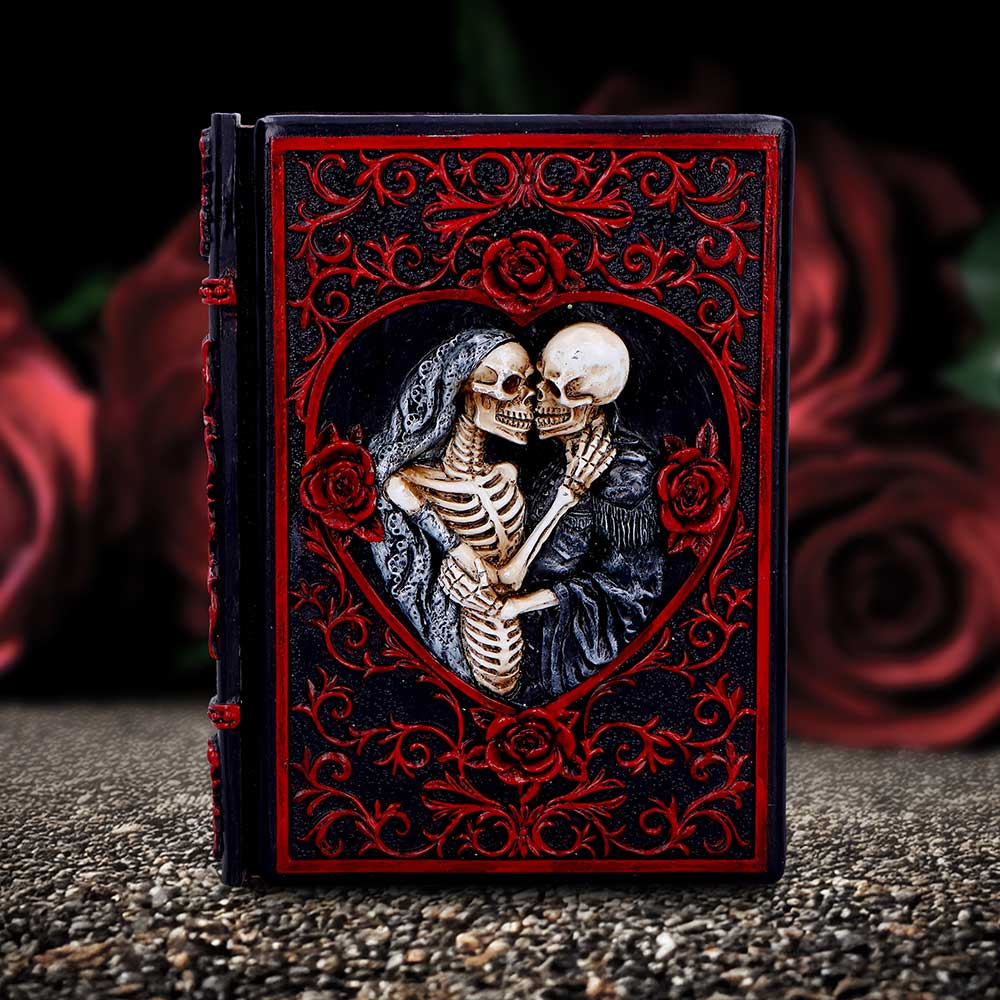 Lovers Grimoire Journal 19cm — view 8 — Nemesis Now D7210C25