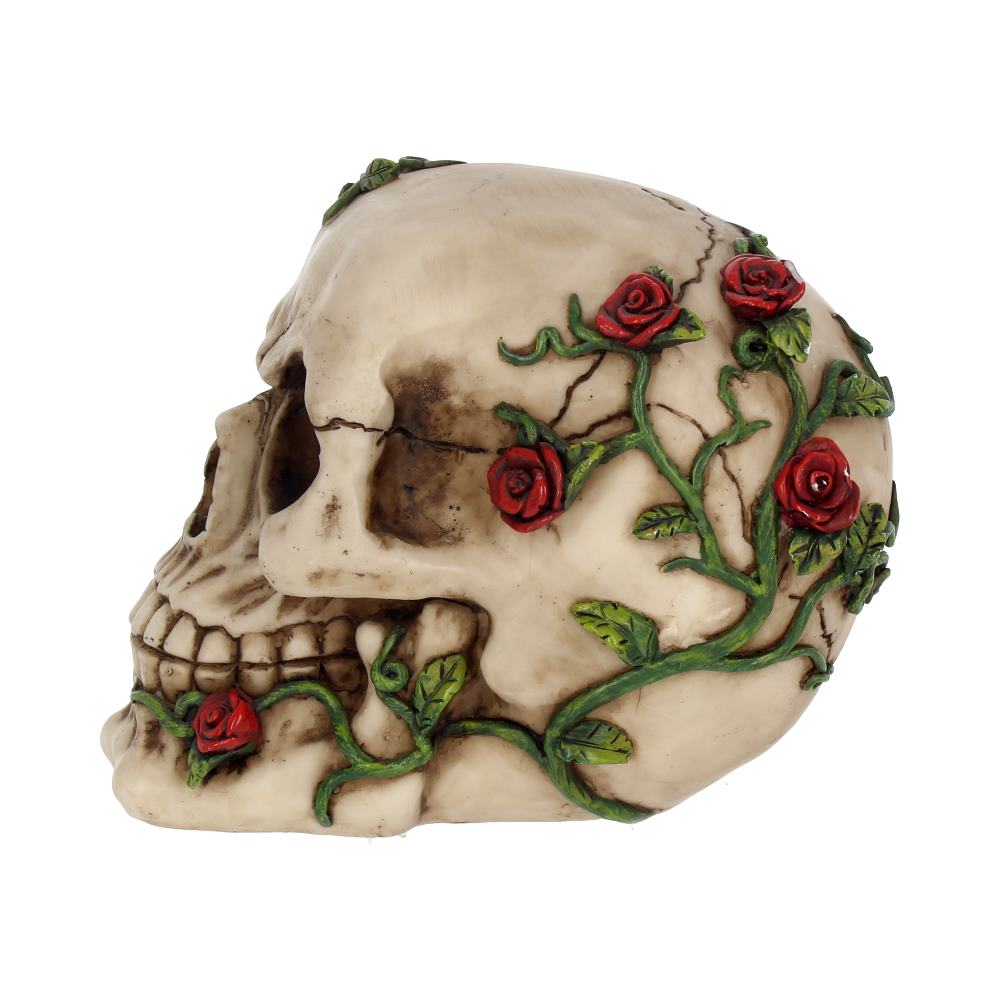 Rose From Beyond Gothic Skull Figurine 15cm — view 3 — Nemesis Now NEM3719