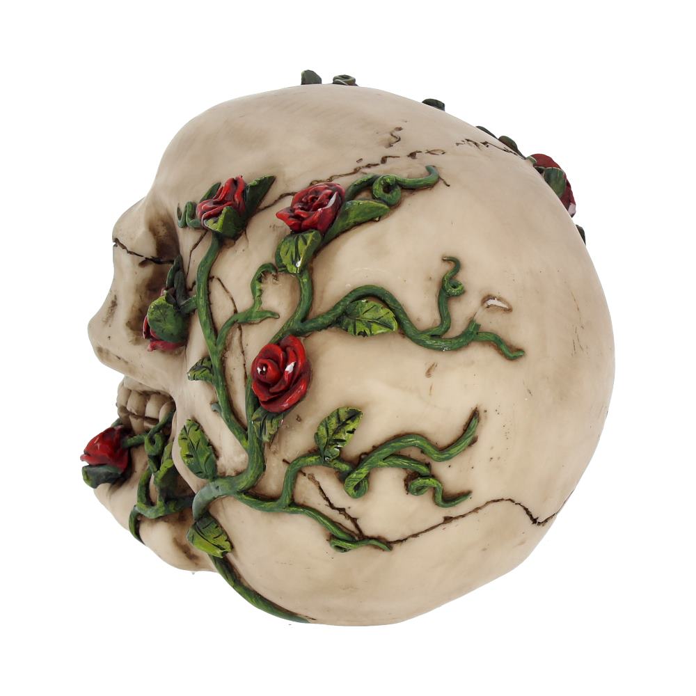 Rose From Beyond Gothic Skull Figurine 15cm — view 4 — Nemesis Now NEM3719