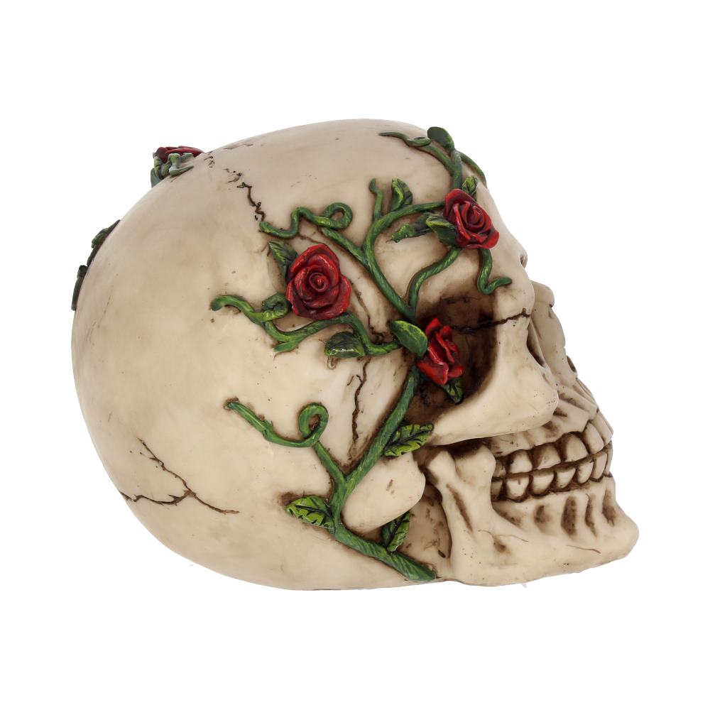Rose From Beyond Gothic Skull Figurine 15cm — view 6 — Nemesis Now NEM3719