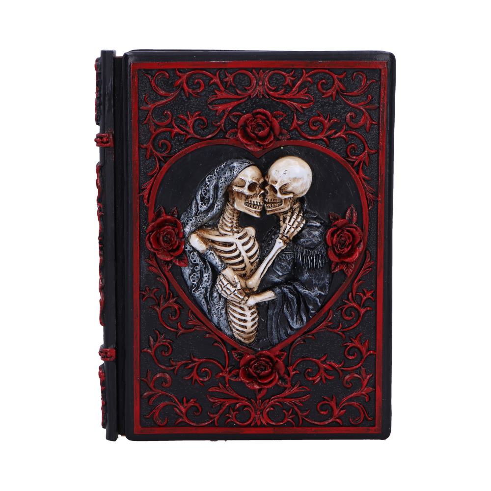Lovers Grimoire Journal 19cm — Nemesis Now D7210C25
