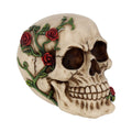 Rose From Beyond Gothic Skull Figurine 15cm — Nemesis Now NEM3719